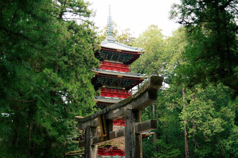 Navigating Japan's Surname Laws: What International Families Need to Know Before Birth Registration